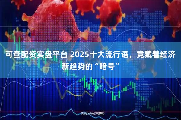 可查配资实盘平台 2025十大流行语，竟藏着经济新趋势的“暗号”